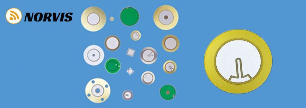 Piezoelectric Diaphragms